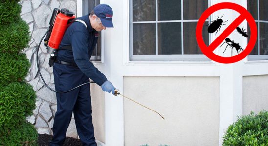 Bozdoğan Dezenfeksiyon böcek ilaçlama ve haşere kontrolü — ilaclama-tr.com
